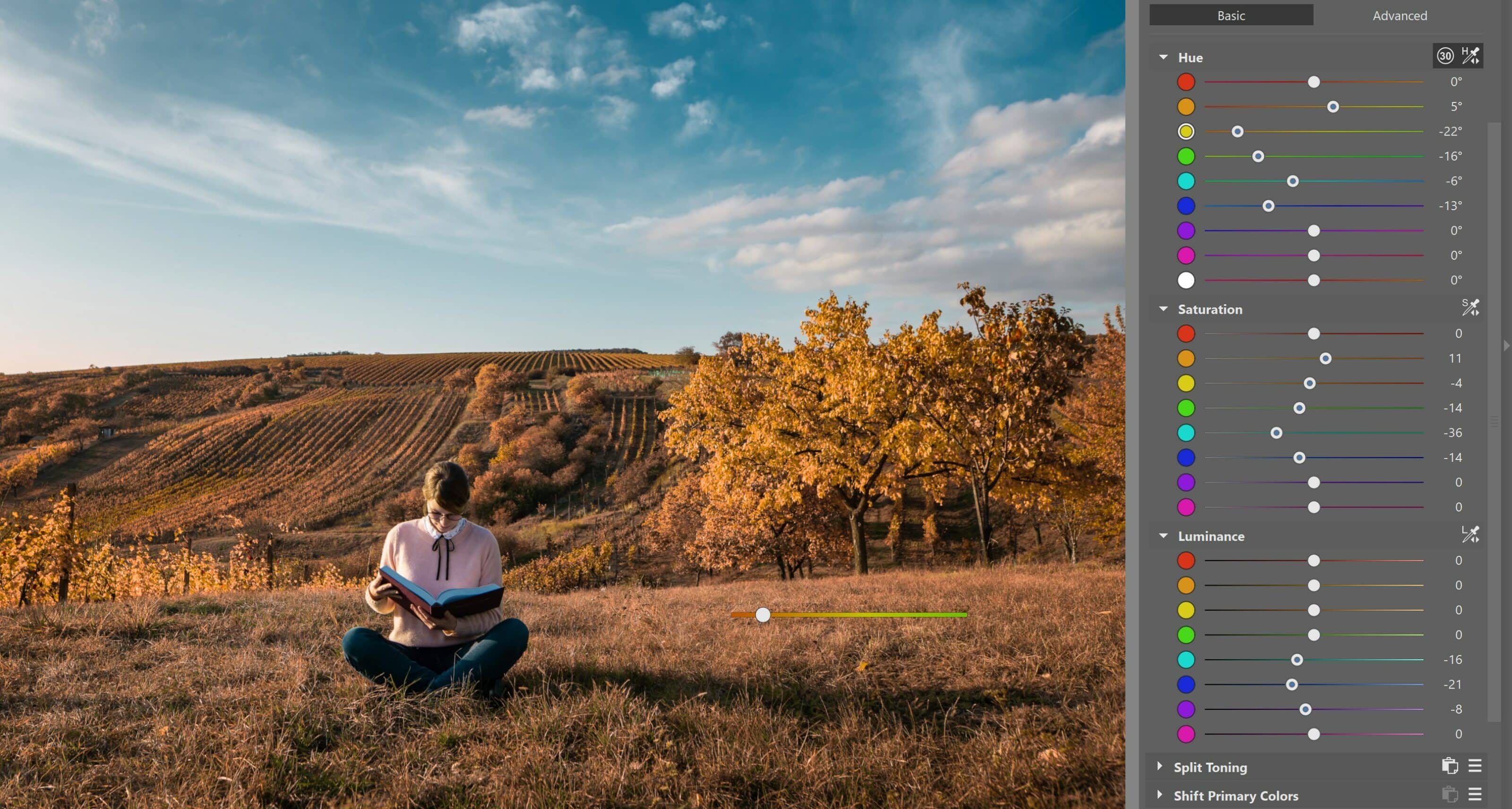 Color Shift: Get Absolute Control Over Your Photos’ Colors