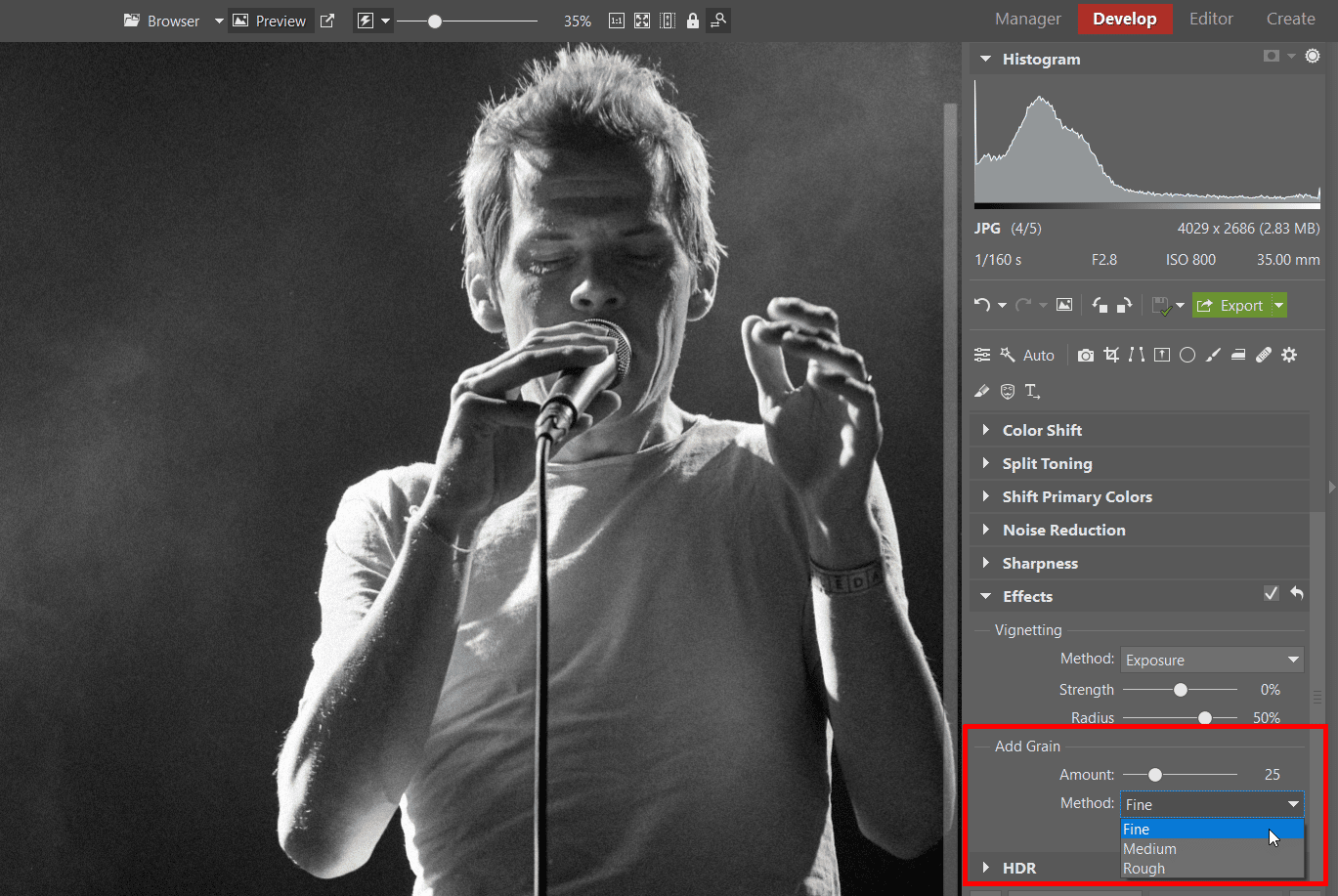 Two Ways to Add Grain to Your Black and White Photos