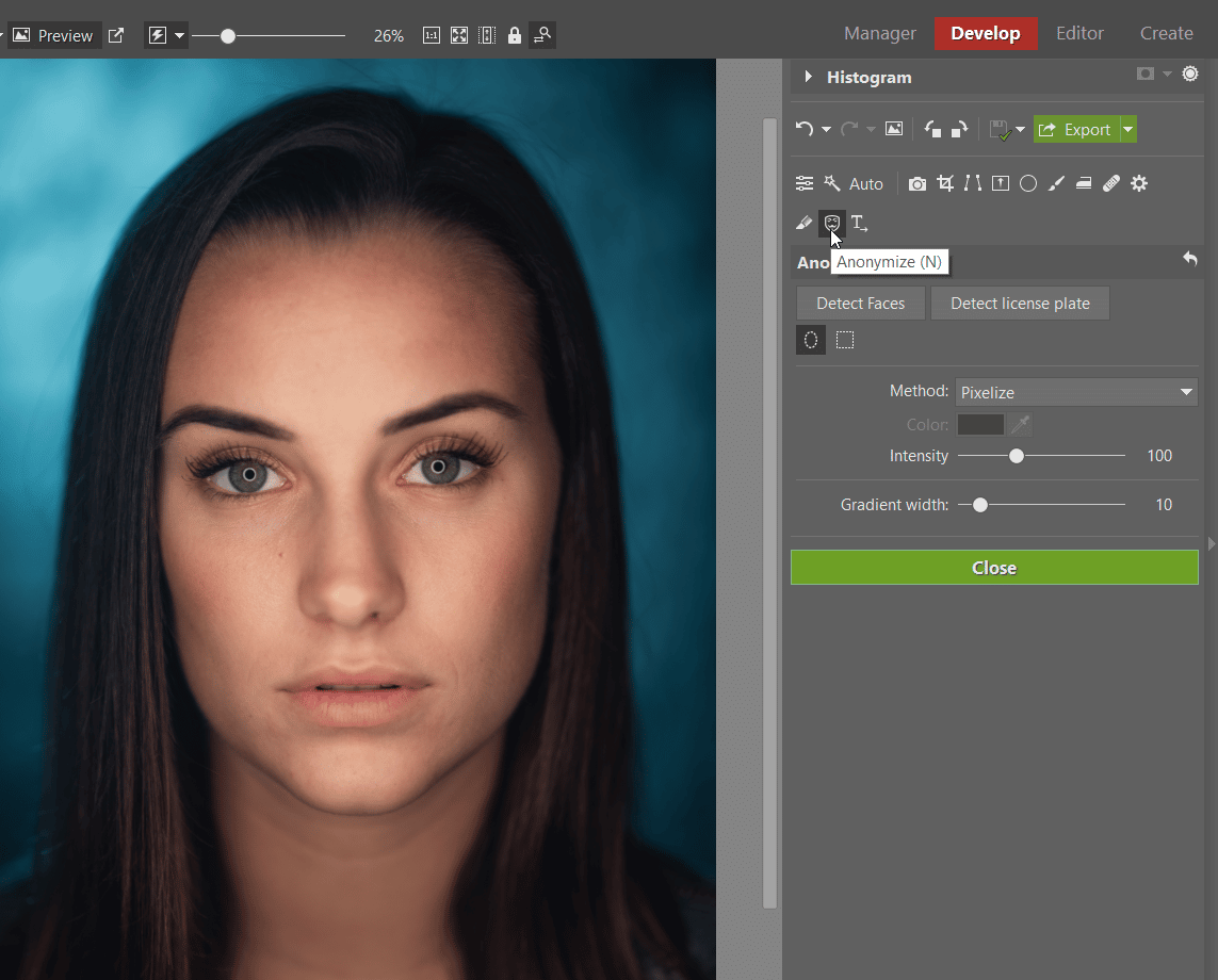How to Hide Faces and License Plates: Learn to Use Anonymization