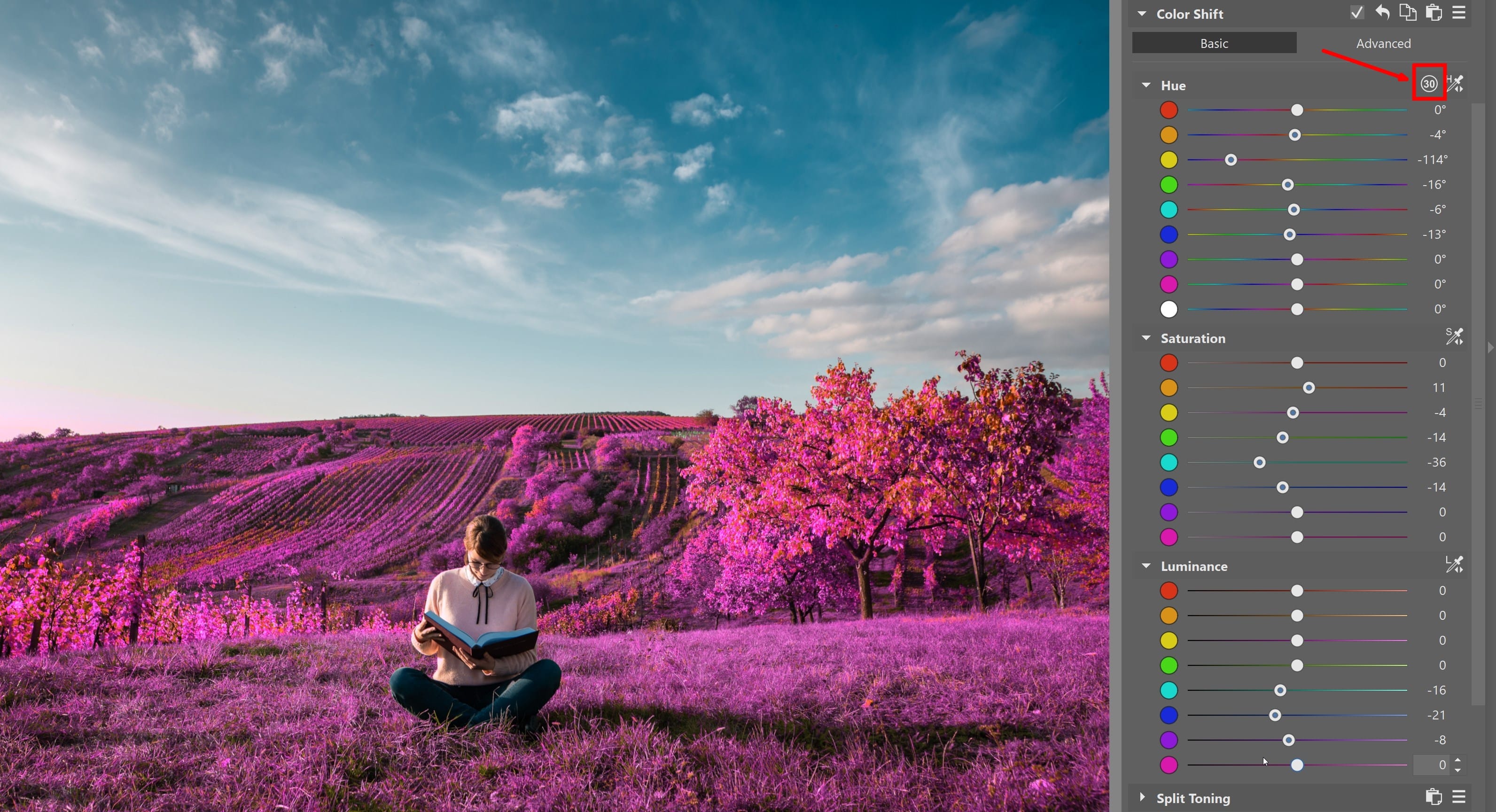 Color Shift: Get Absolute Control Over Your Photos’ Colors