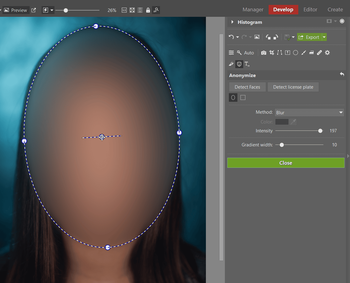 how to blur a face using zoner photo