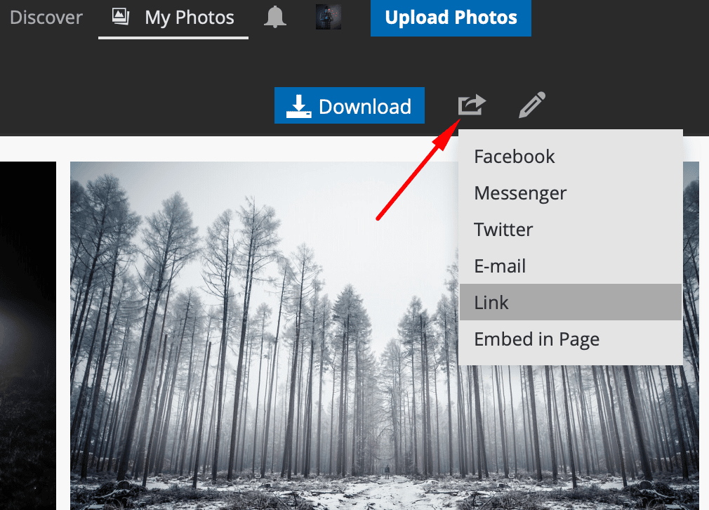 Zonerama Is Unlimited and Free. See How to Work With It and What It Can Do.