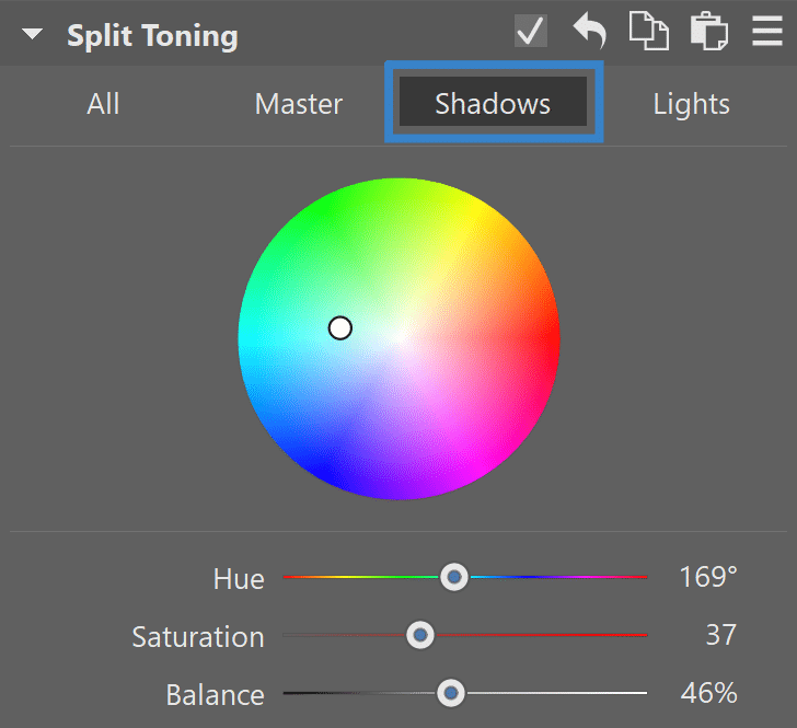 In the other sections—that is, Master, Lights, and Shadows—you can set the Hue and Saturation of the color in the given part of the photo either via the circle or via sliders.