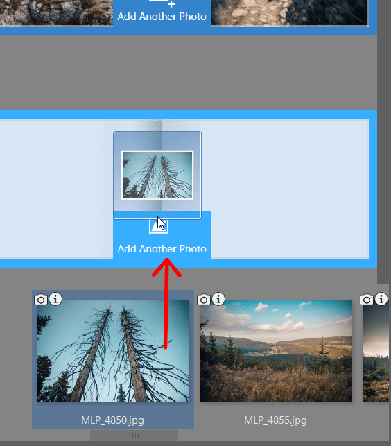 How to Create Your Own Photo Book