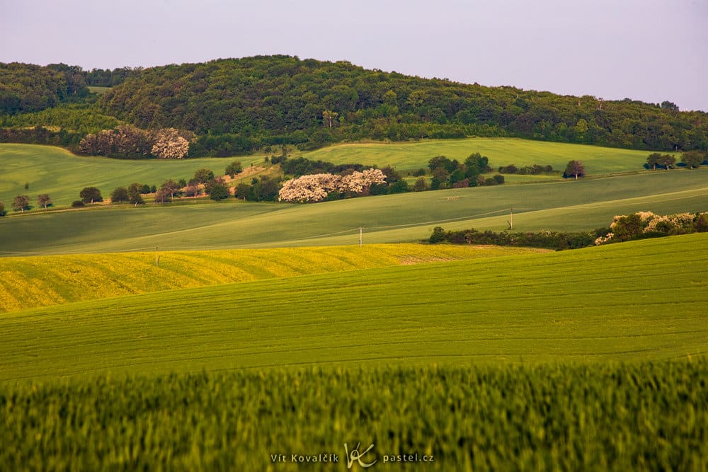 Experiment: Test Out Light’s Behavior in Landscapes (and Everywhere). Macro Photography Can Help.