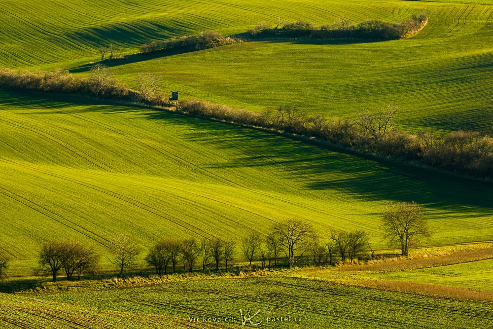 Experiment: Test Out Light’s Behavior in Landscapes (and Everywhere). Macro Photography Can Help.