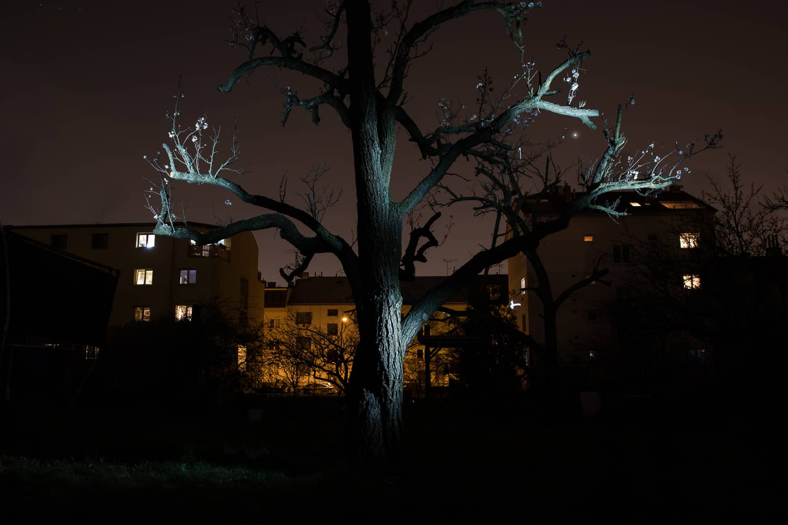 Light Painting: How to Do It and What You’ll Need