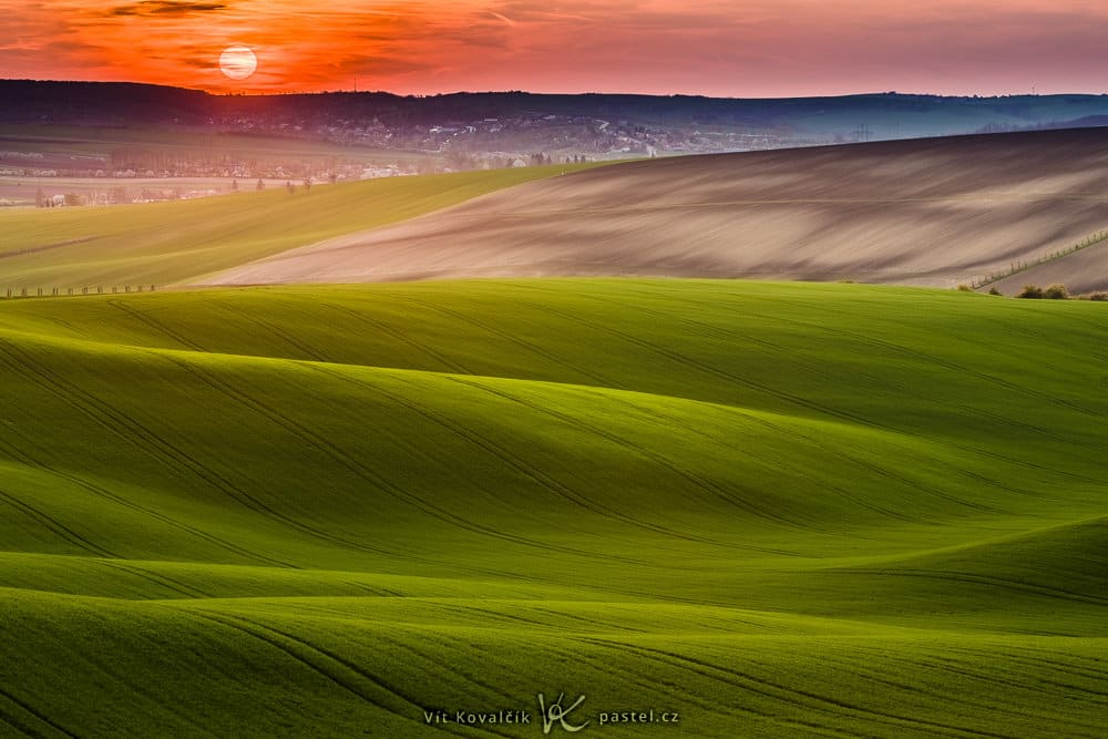 Experiment: Test Out Light’s Behavior in Landscapes (and Everywhere). Macro Photography Can Help.