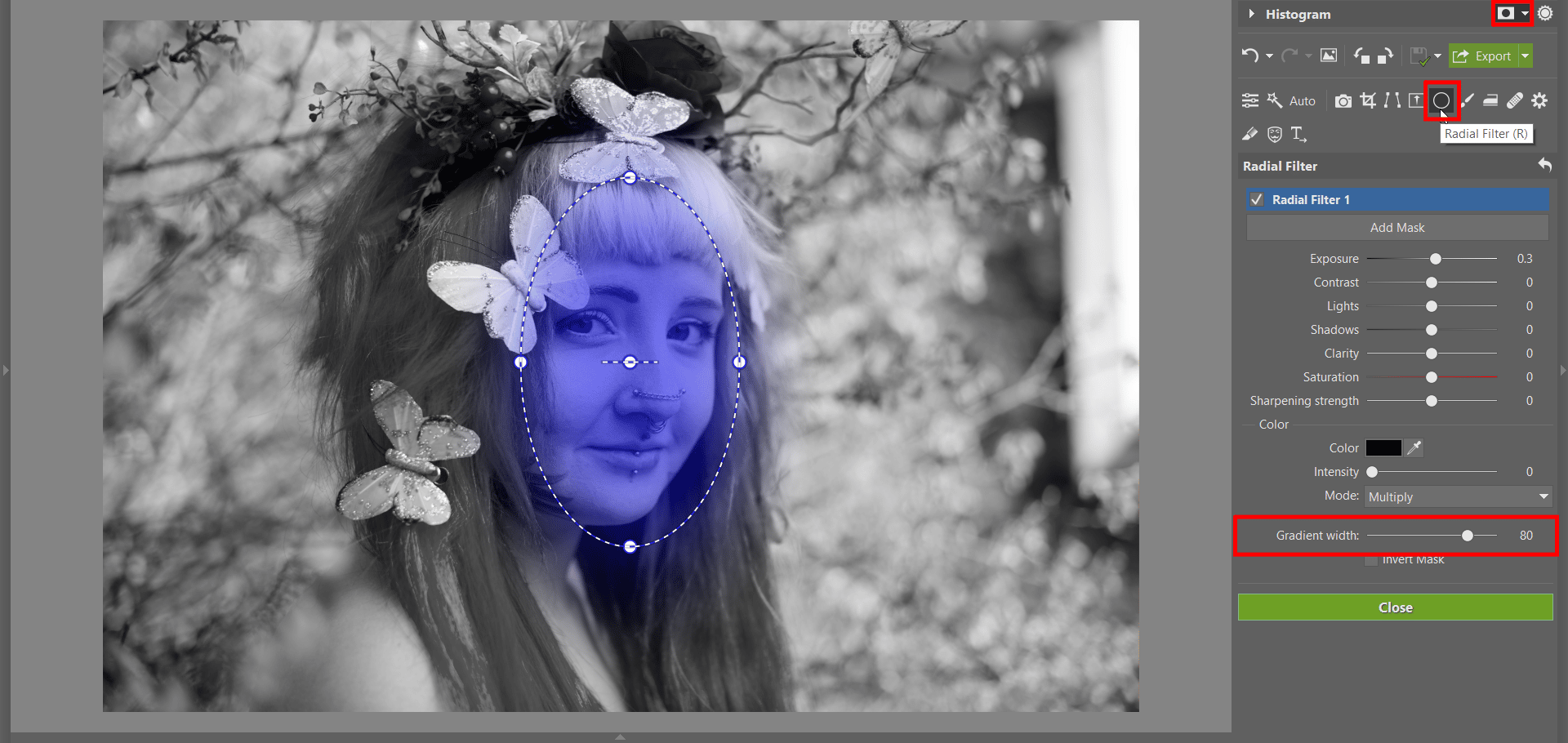 Spring Portrait Editing I: The Develop Module