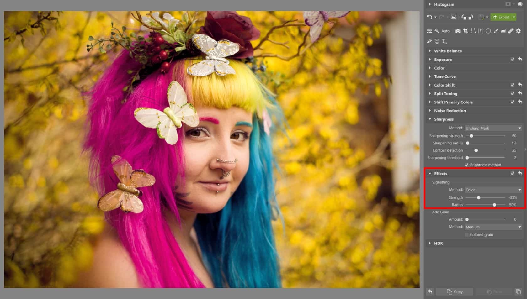 Spring Portrait Editing I: The Develop Module