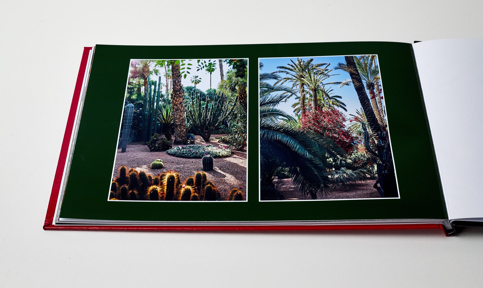 photo book Zoner Studio