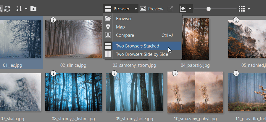 How to Publish Photos to Zonerama Straight from Zoner Photo Studio X
