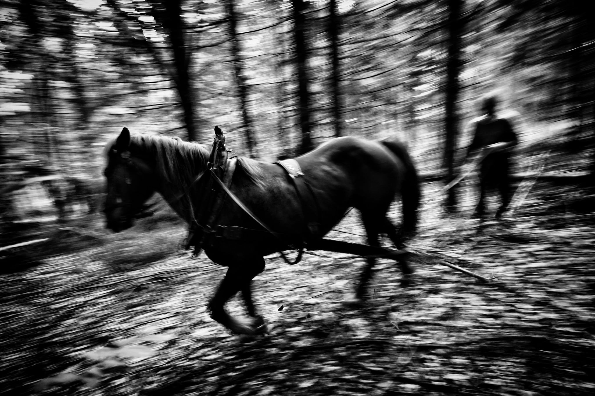 Reportage Photography: How to Take Gripping Reportage That Tells Stories