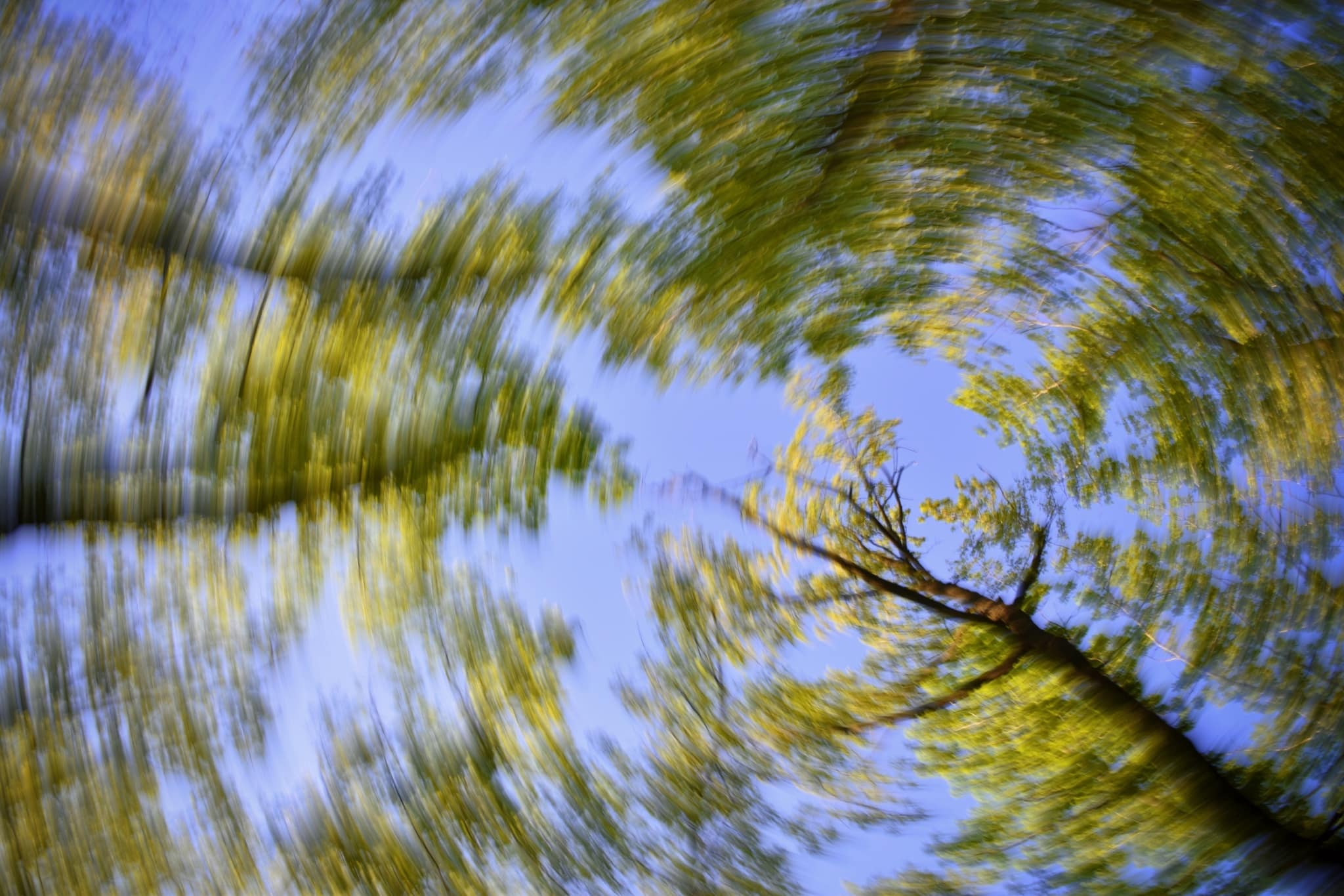 Motion Experiments That Will Make a Photographer’s Head Spin!