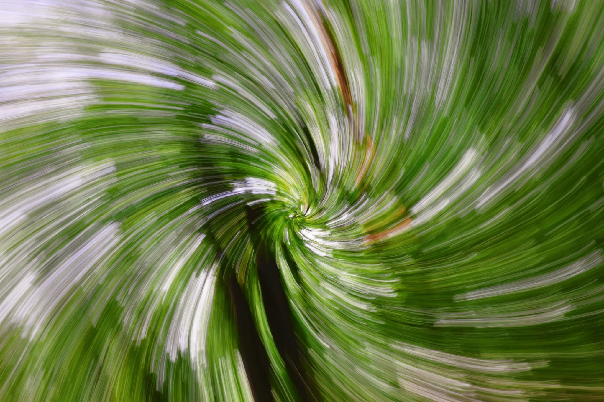 Motion Experiments That Will Make a Photographer’s Head Spin!