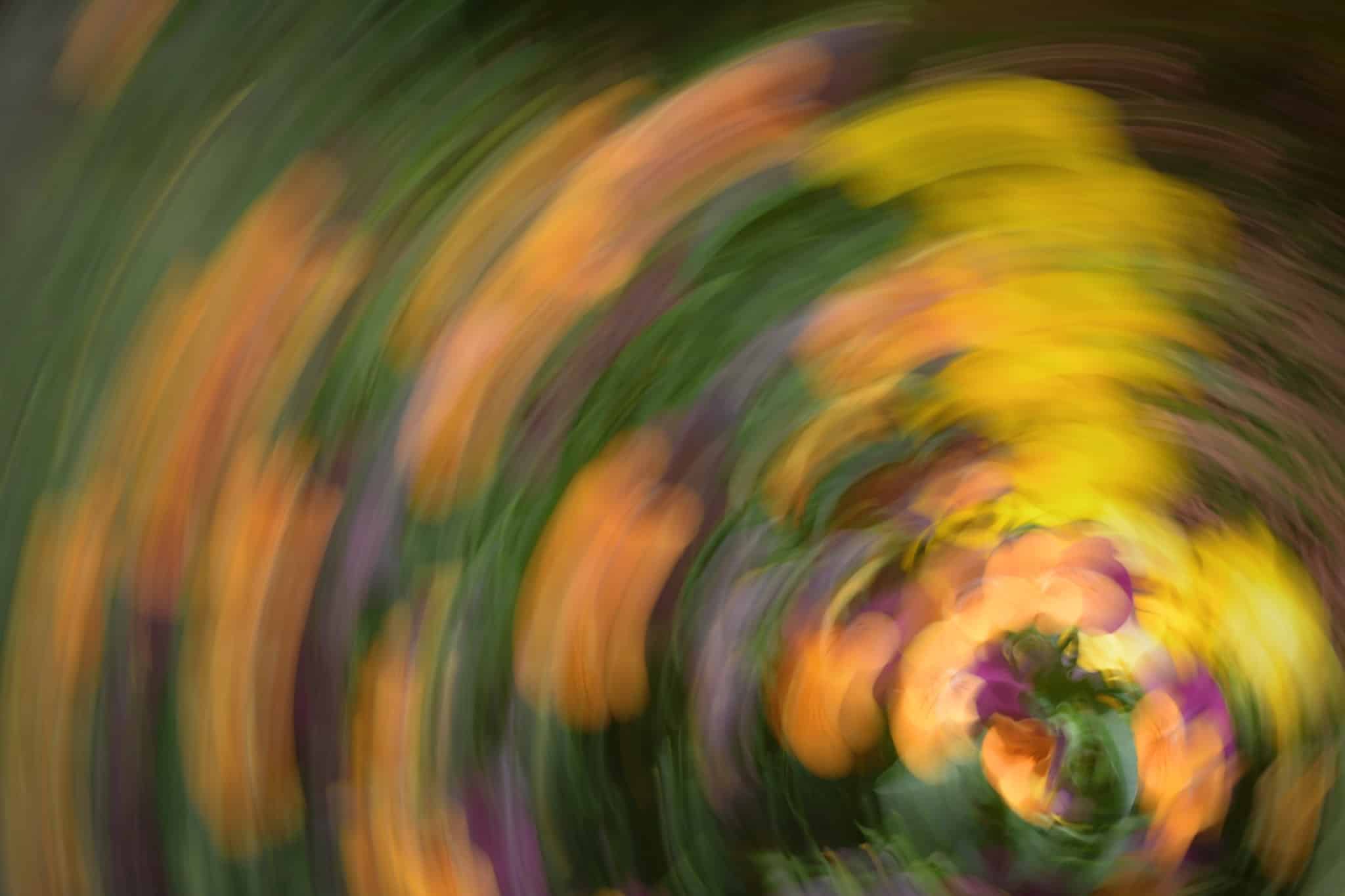 Motion Experiments That Will Make a Photographer’s Head Spin!