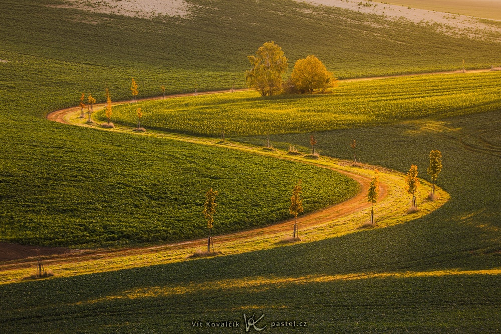Outdoor Photography: Some Things to Notice