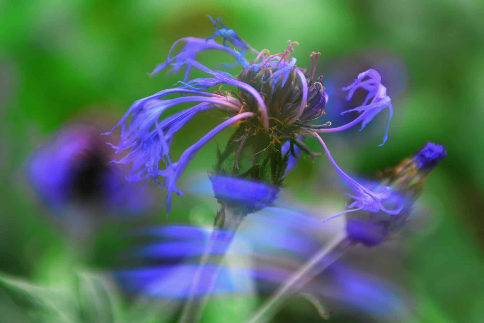 Motion Experiments That Will Make a Photographer’s Head Spin!