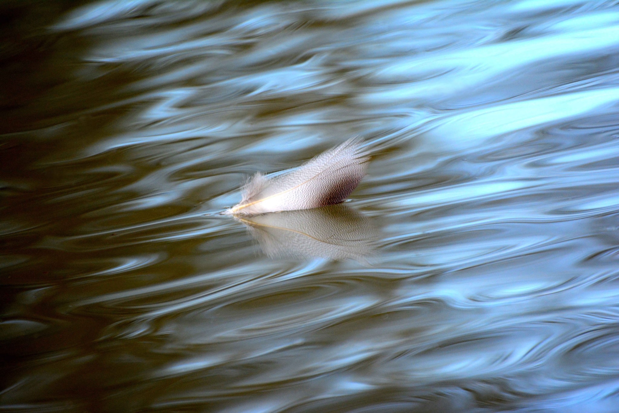 Motion Experiments That Will Make a Photographer’s Head Spin!