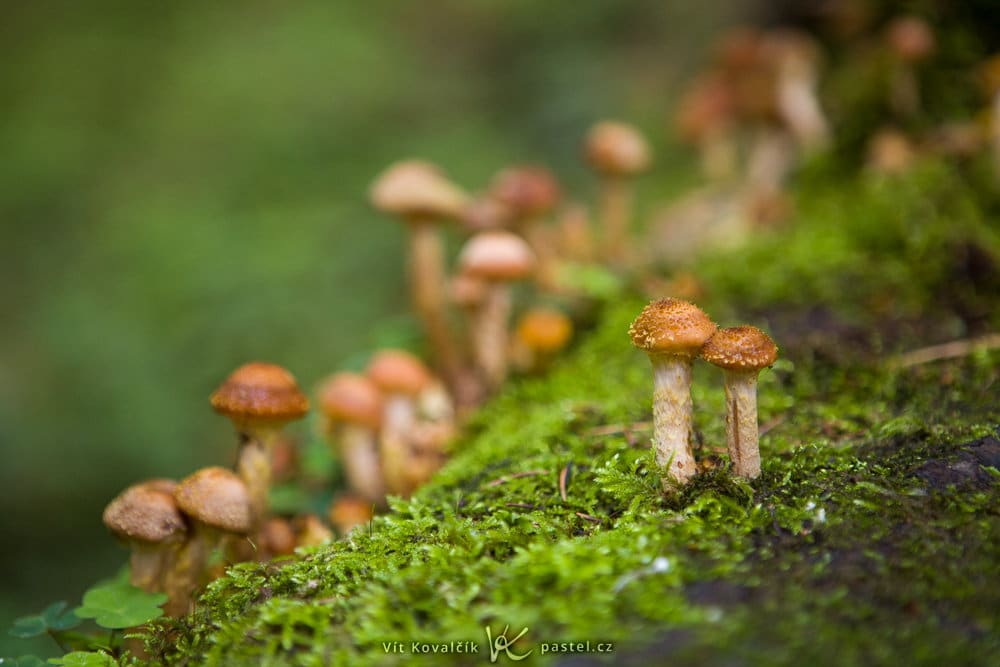 Outdoor Photography: Some Things to Notice