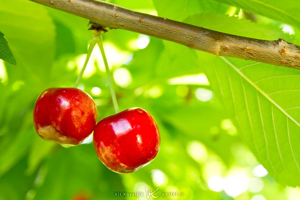 Outdoor Photography: Some Things to Notice