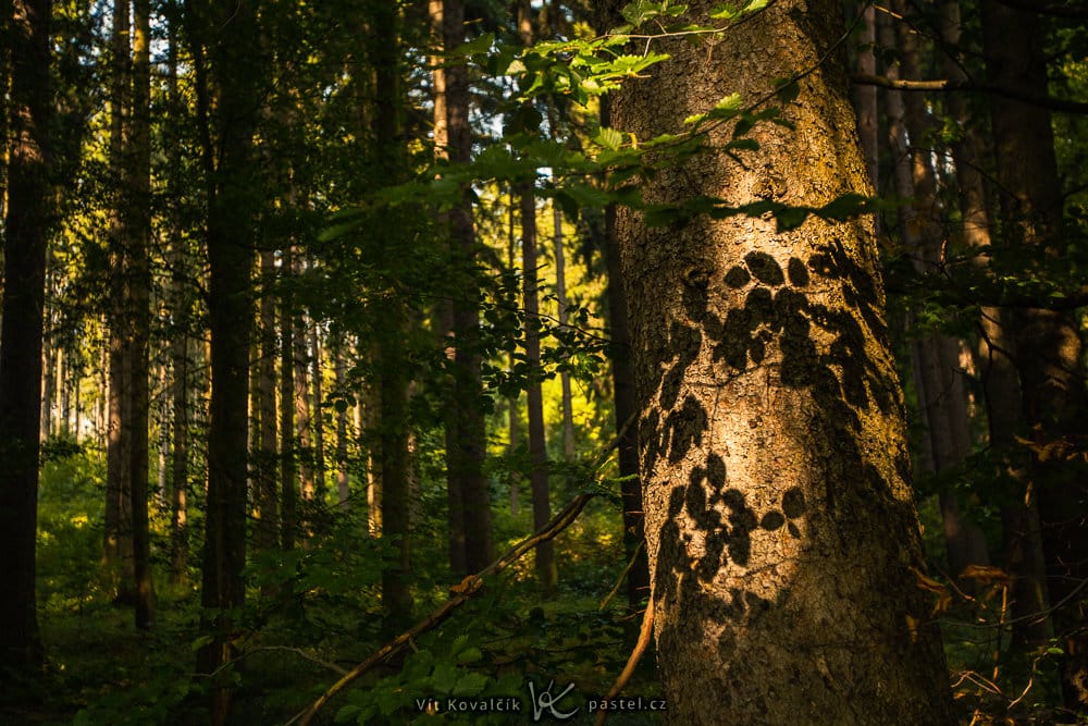 Outdoor Photography: Some Things to Notice