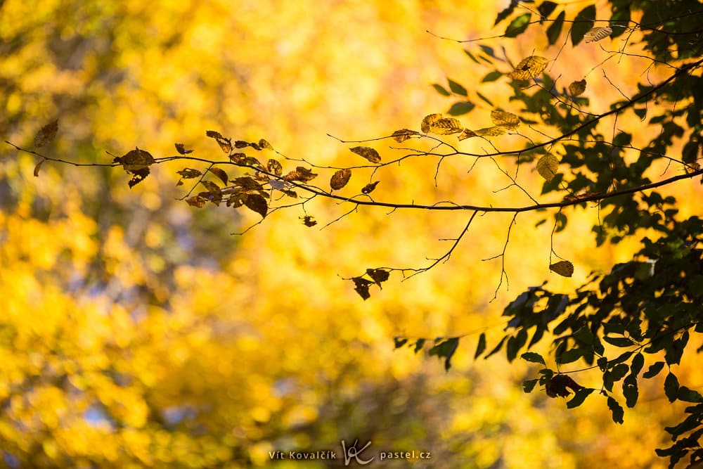 Outdoor Photography: Some Things to Notice