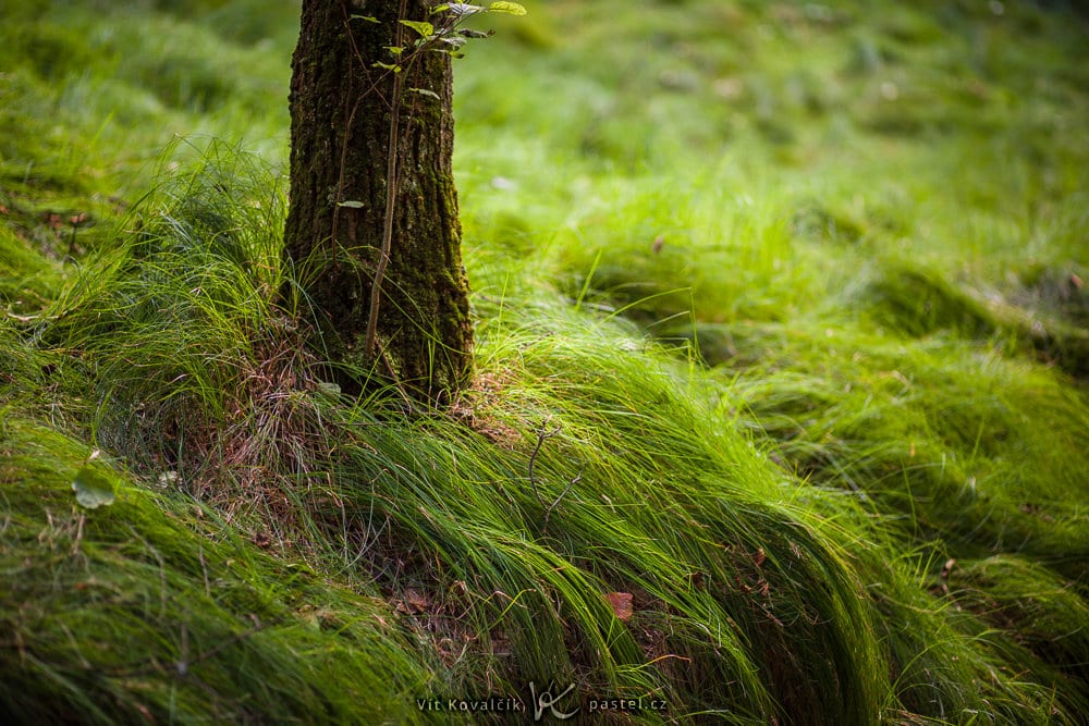 Outdoor Photography: Some Things to Notice