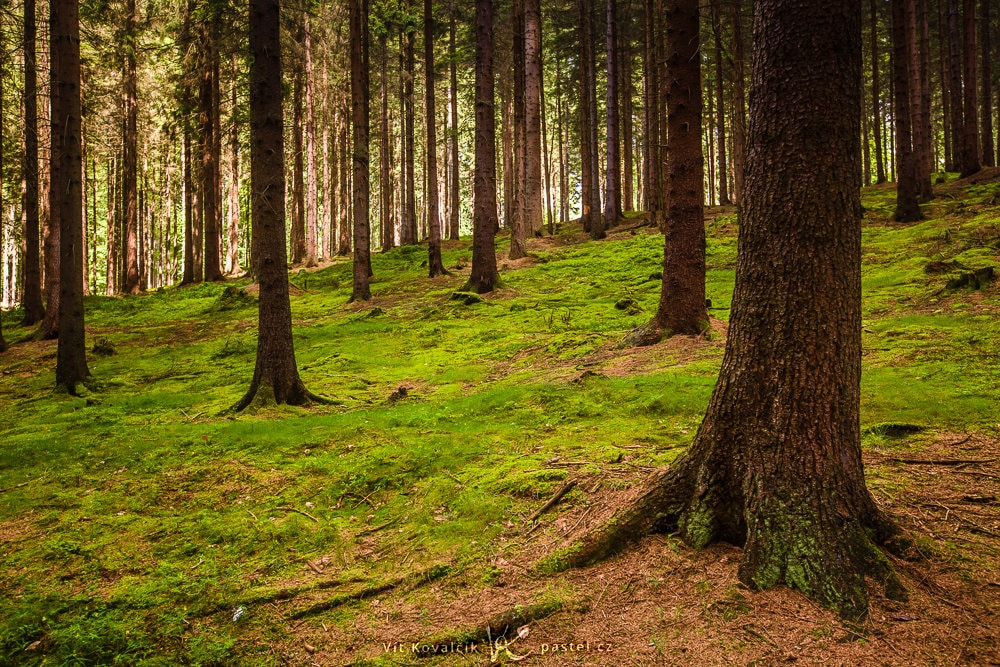 Outdoor Photography: Some Things to Notice