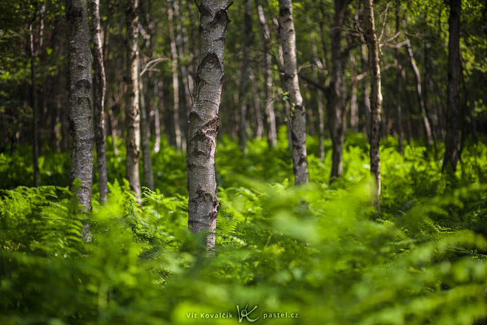 Outdoor Photography: Some Things to Notice