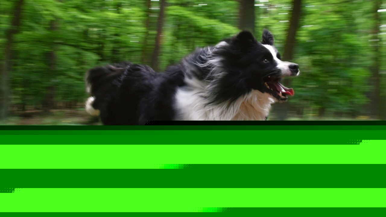 Motion Experiments That Will Make a Photographer’s Head Spin!