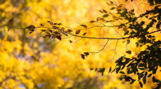 Outdoor Photography: Some Things to Notice