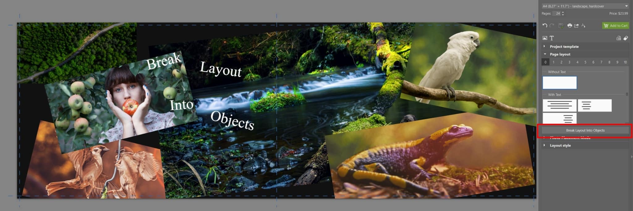 We’ve Improved the Create Module: Easier Work With Photo Products Than Ever