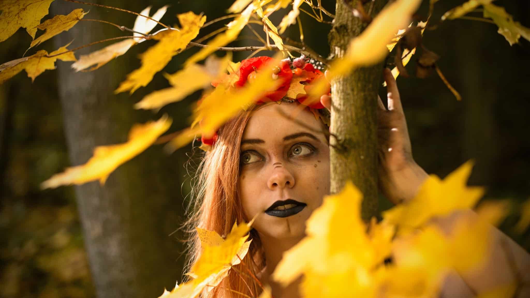 Tips for taking pictures in the fall: foggy mornings, color overflow, and a spooky Halloween
