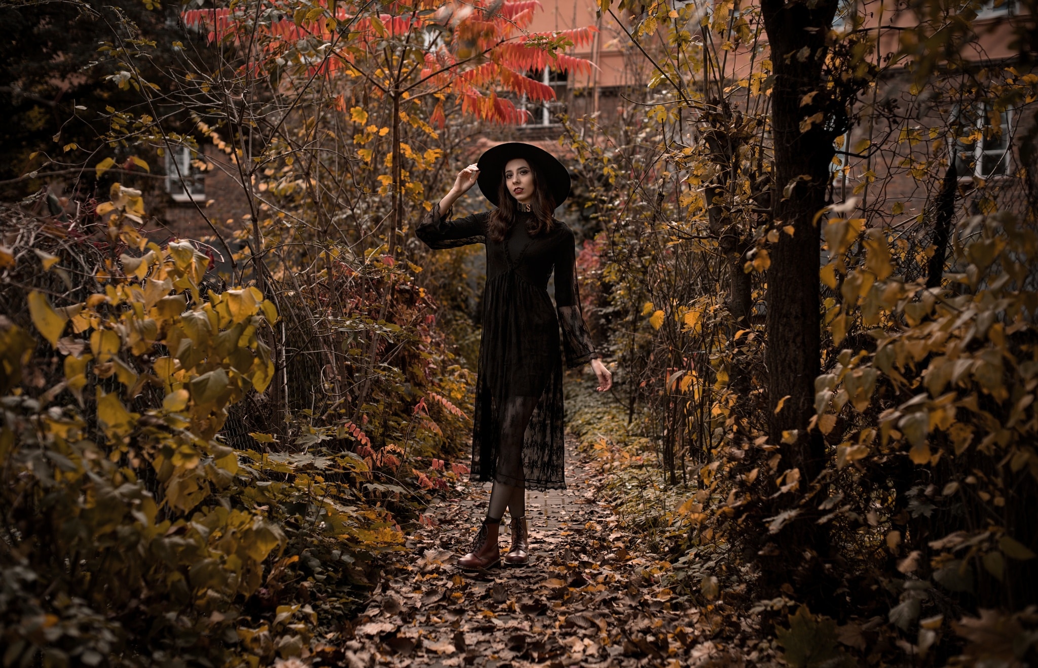 Tips for taking pictures in the fall: foggy mornings, color overflow, and a spooky Halloween