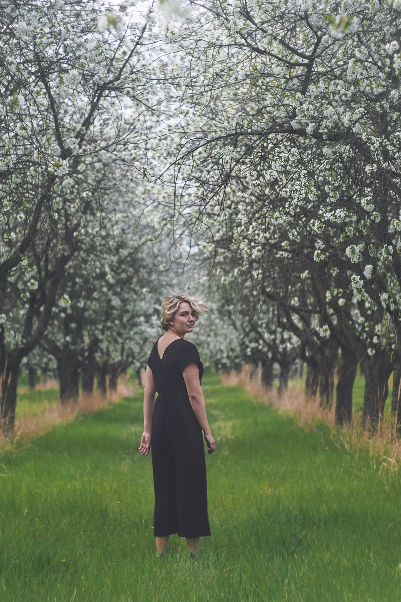 Vintage lenses on a digital body? Beautiful bokeh, lens flare, and unique details