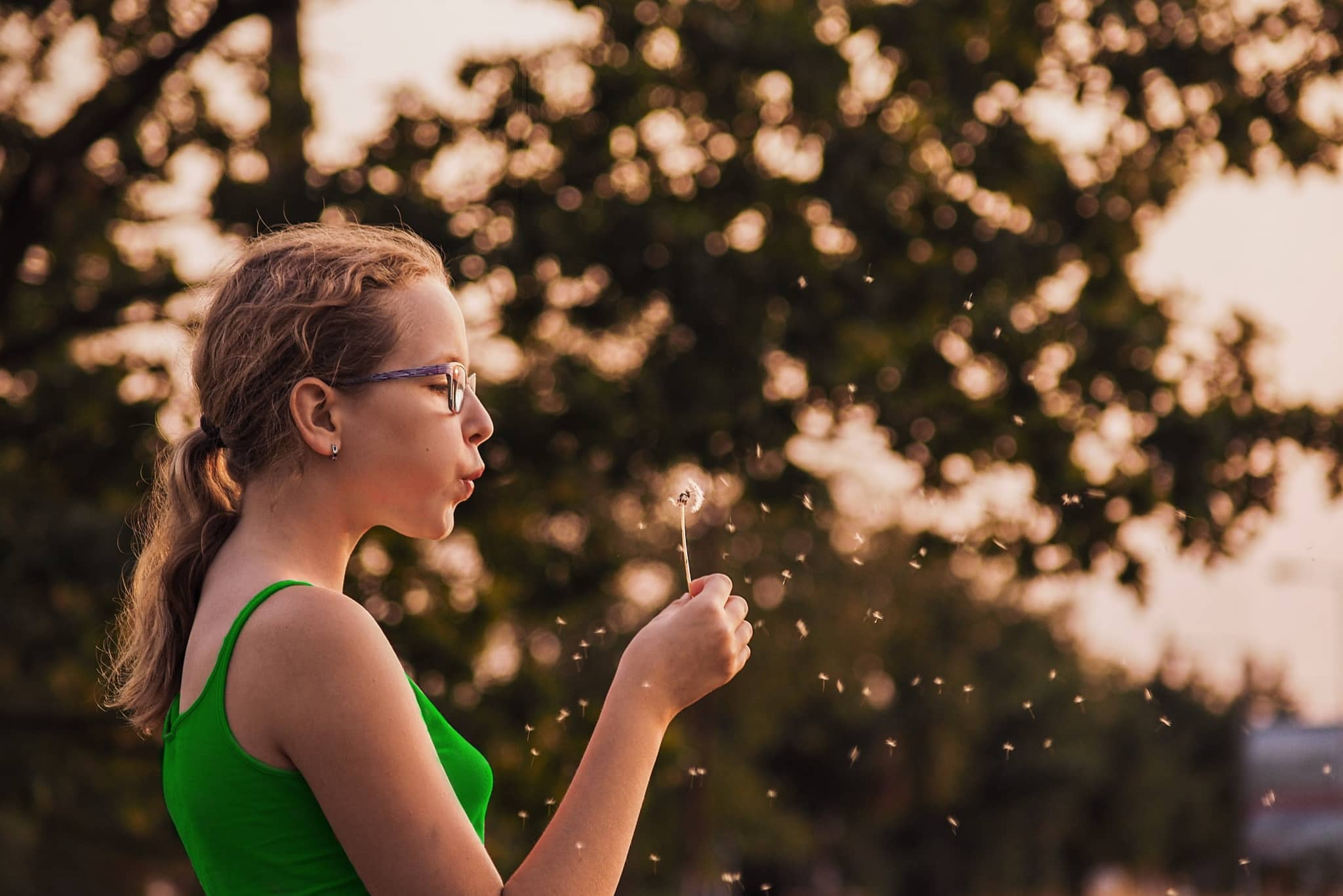 An old lens for a modern camera: Which to choose for portrait, macro, or landscape photography
