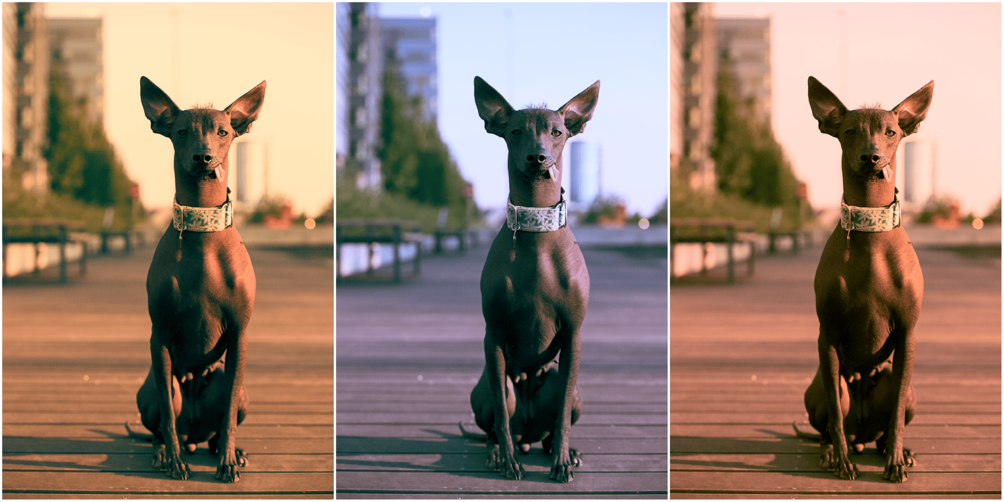 Color grading step-by-step III: How to get the popular Teal & Orange look