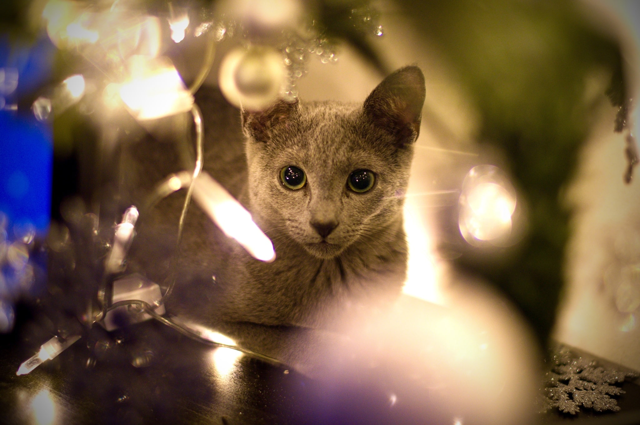 What to capture during winter – city lights, snow, and New Year’s Eve
