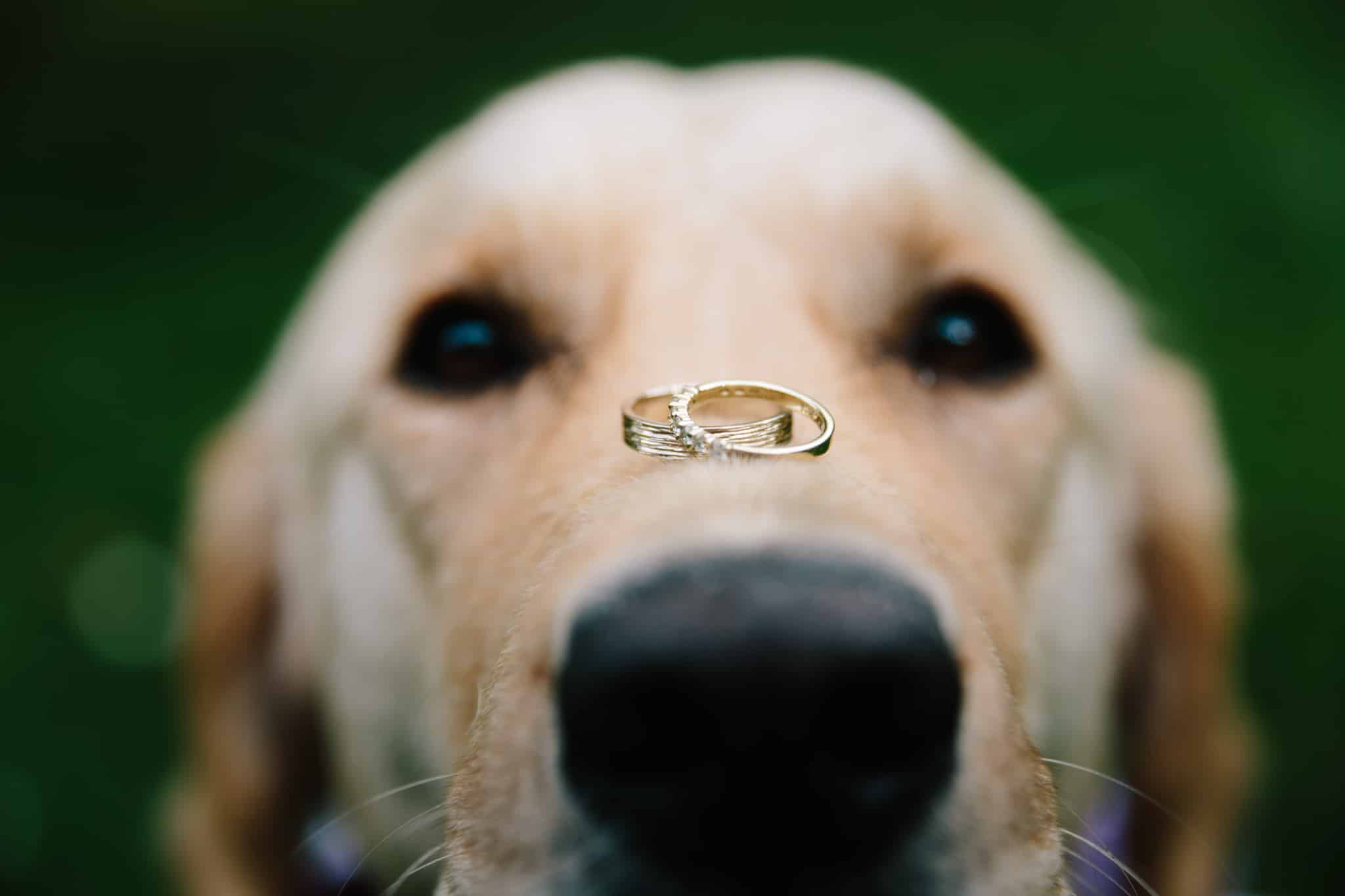 Humor in photography - How to capture funny moments