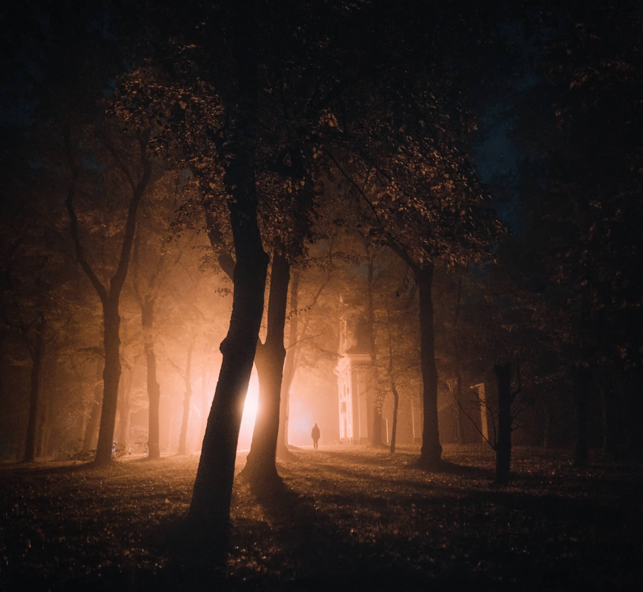 Photographing fog - Get a mysterious atmosphere in your photos. We’ll tell you how to get the right shots and edits