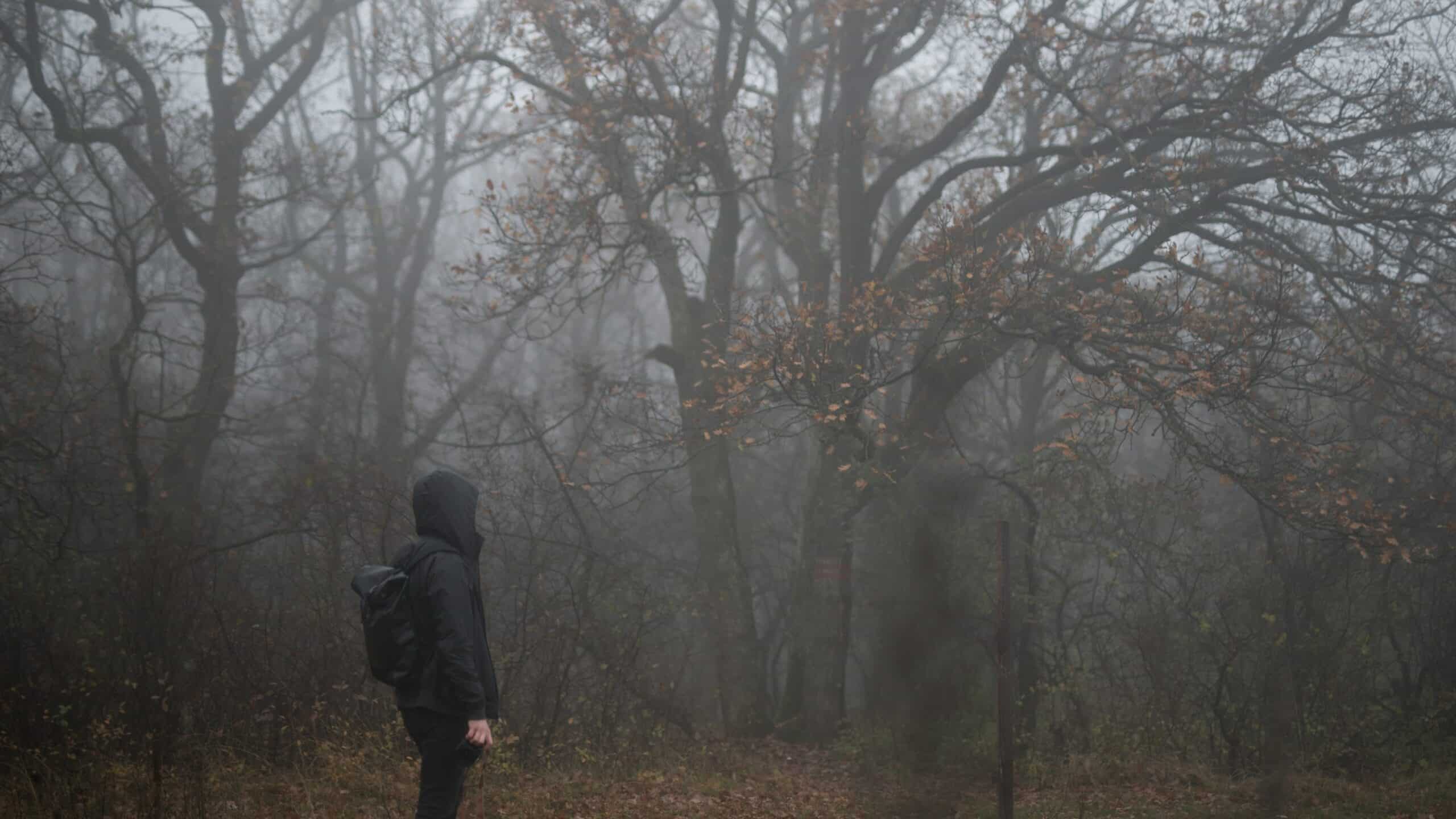 Photographing fog - Get a mysterious atmosphere in your photos. We’ll tell you how to get the right shots and edits