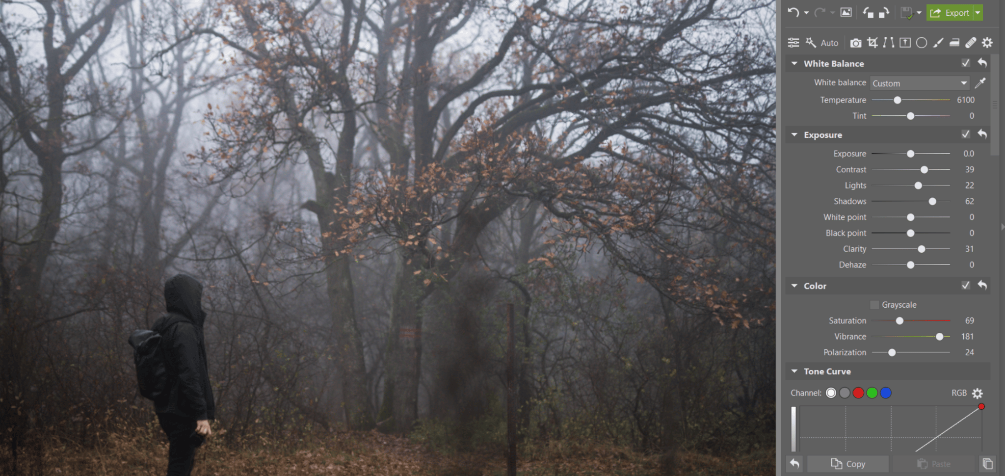 Photographing fog - Get a mysterious atmosphere in your photos. We’ll tell you how to get the right shots and edits