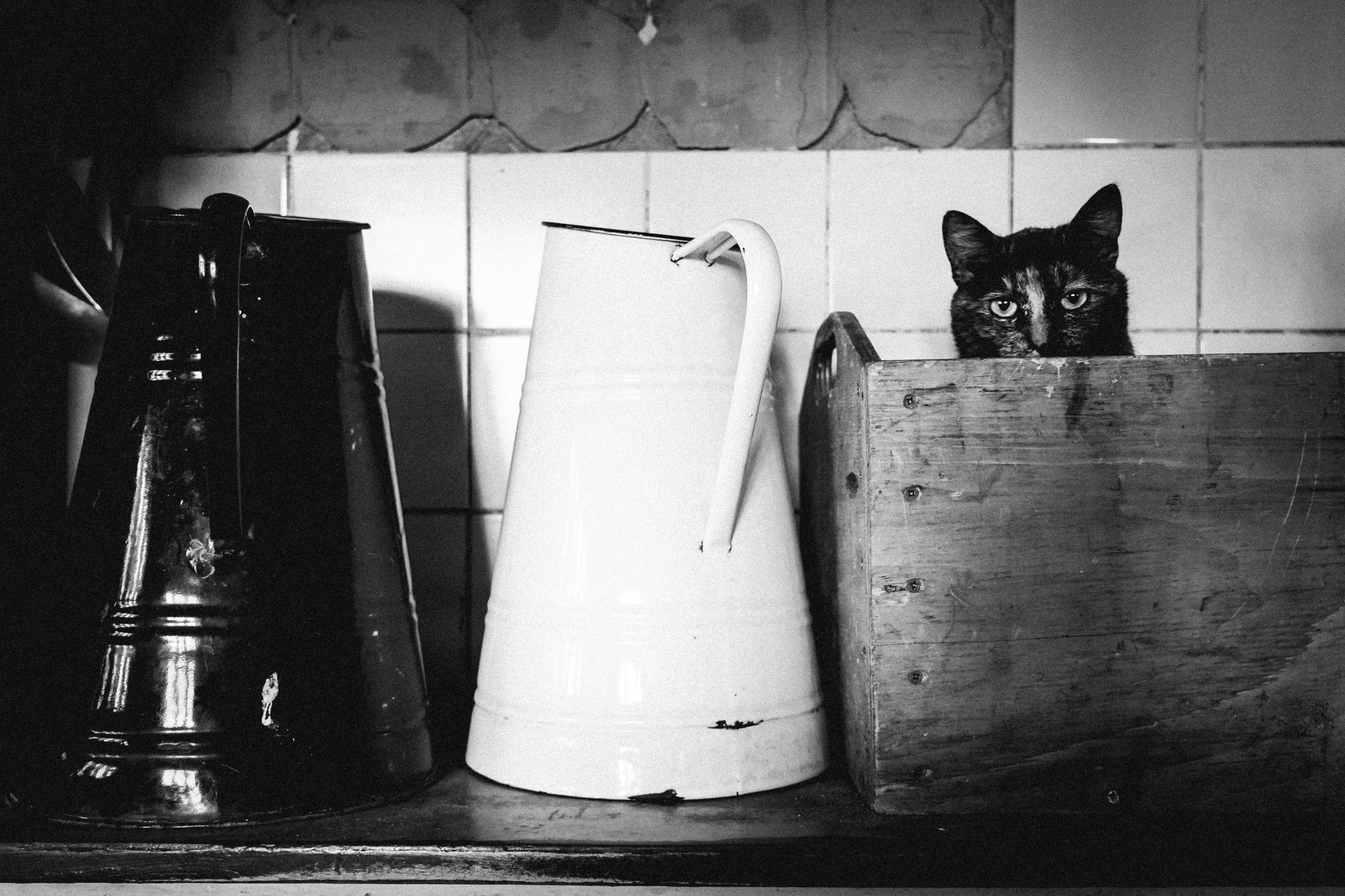 Humor in photography - How to capture funny moments