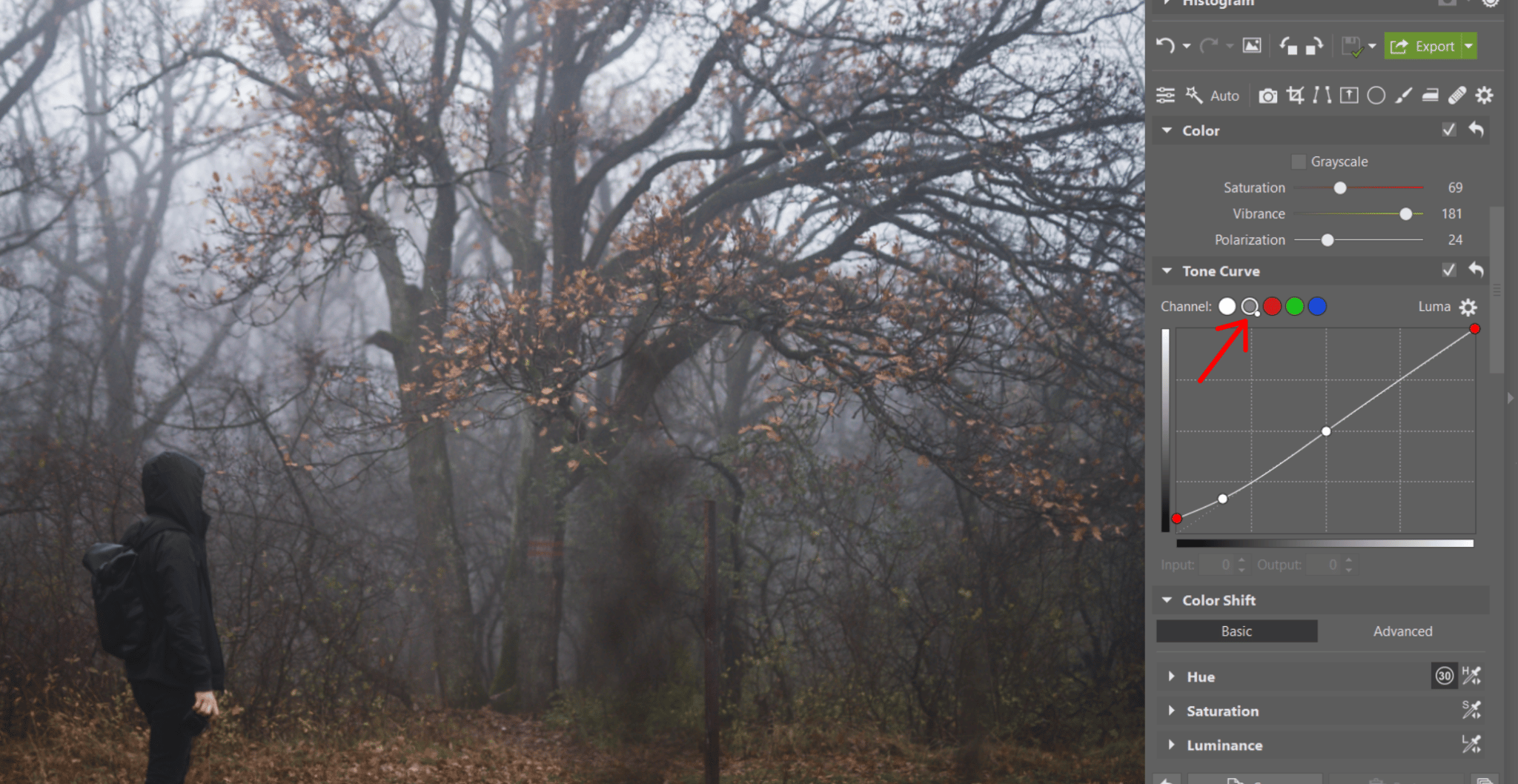 Photographing fog - Get a mysterious atmosphere in your photos. We’ll tell you how to get the right shots and edits