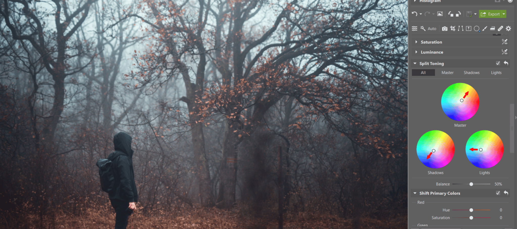 Photographing fog - Get a mysterious atmosphere in your photos. We’ll tell you how to get the right shots and edits