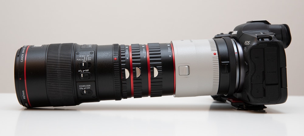Super Macro photography: Discover the magic of close-up Macro photography