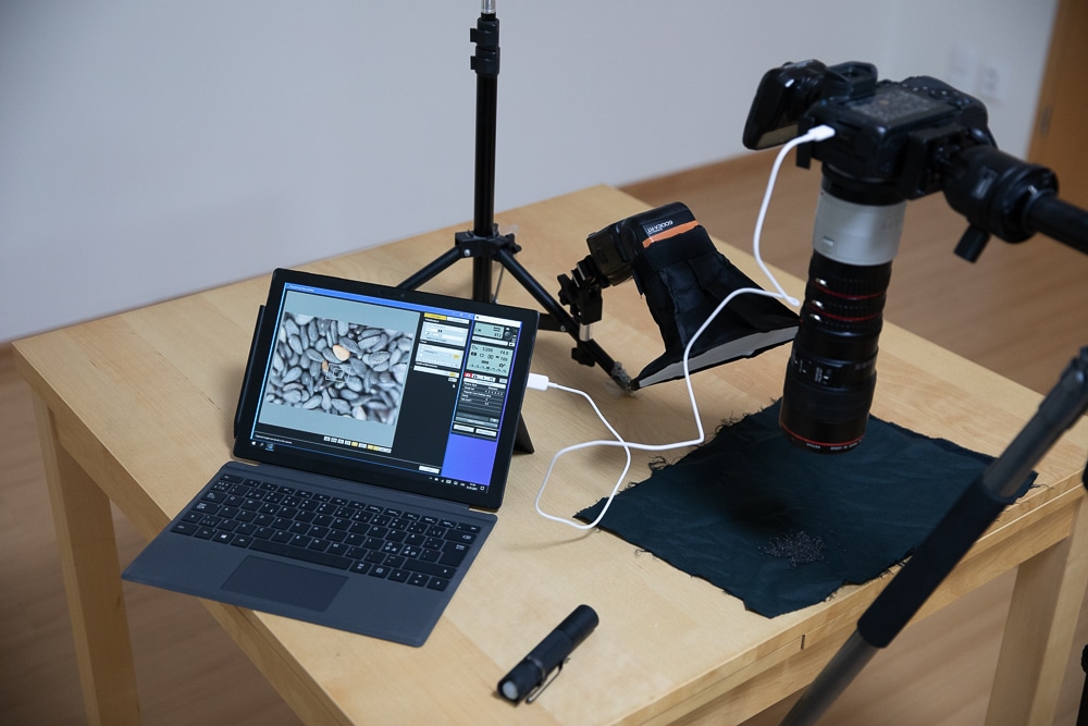 Super Macro photography: Discover the magic of close-up Macro photography
