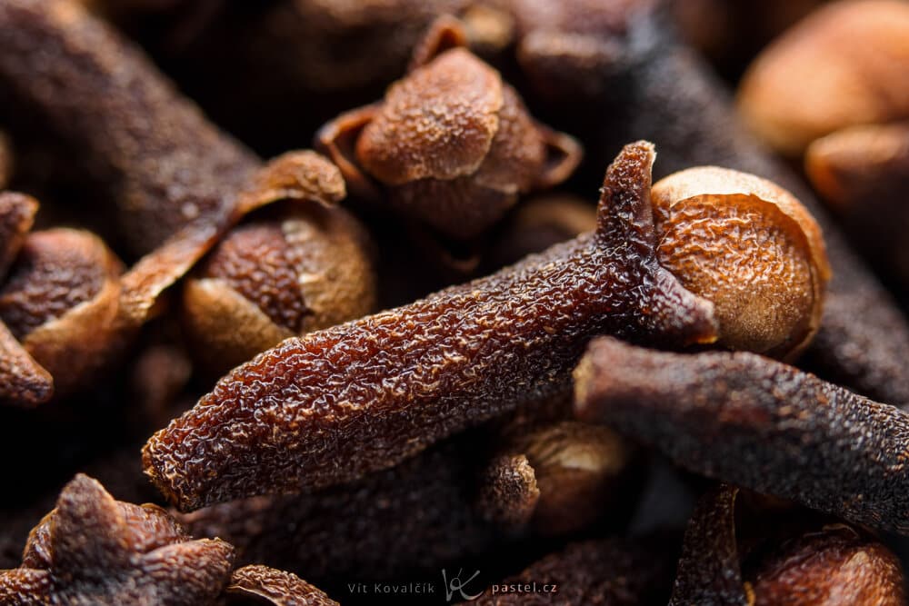Super Macro photography: Discover the magic of close-up Macro photography