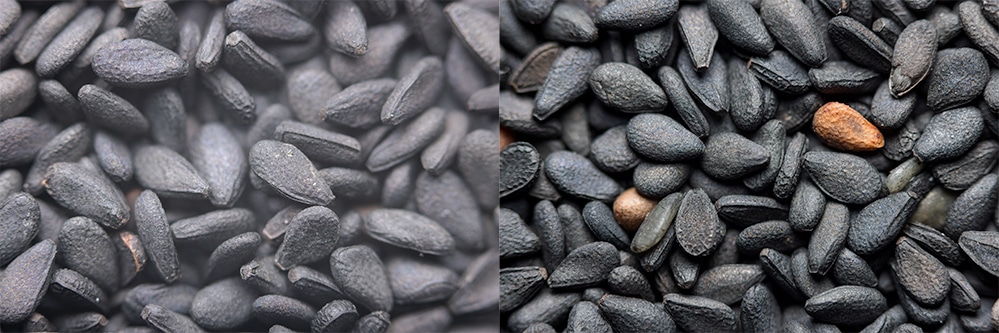 Super Macro photography: Discover the magic of close-up Macro photography